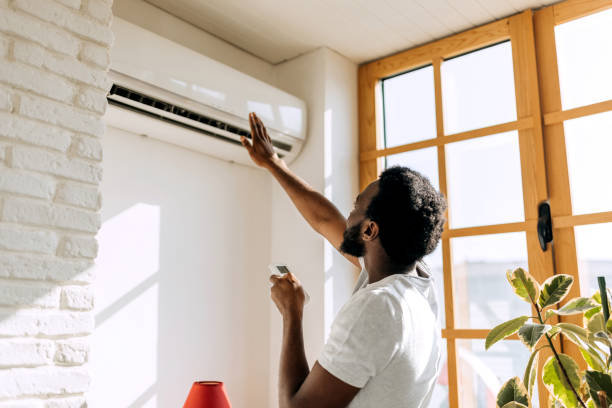Best Local HVAC Companies  in Lemay, MO